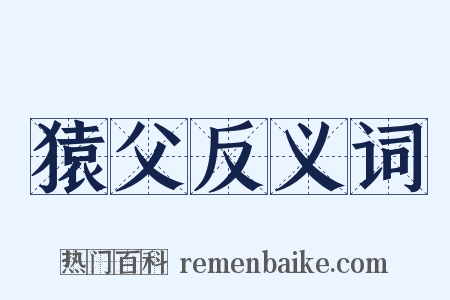 猿父反义词是什么意思的图片